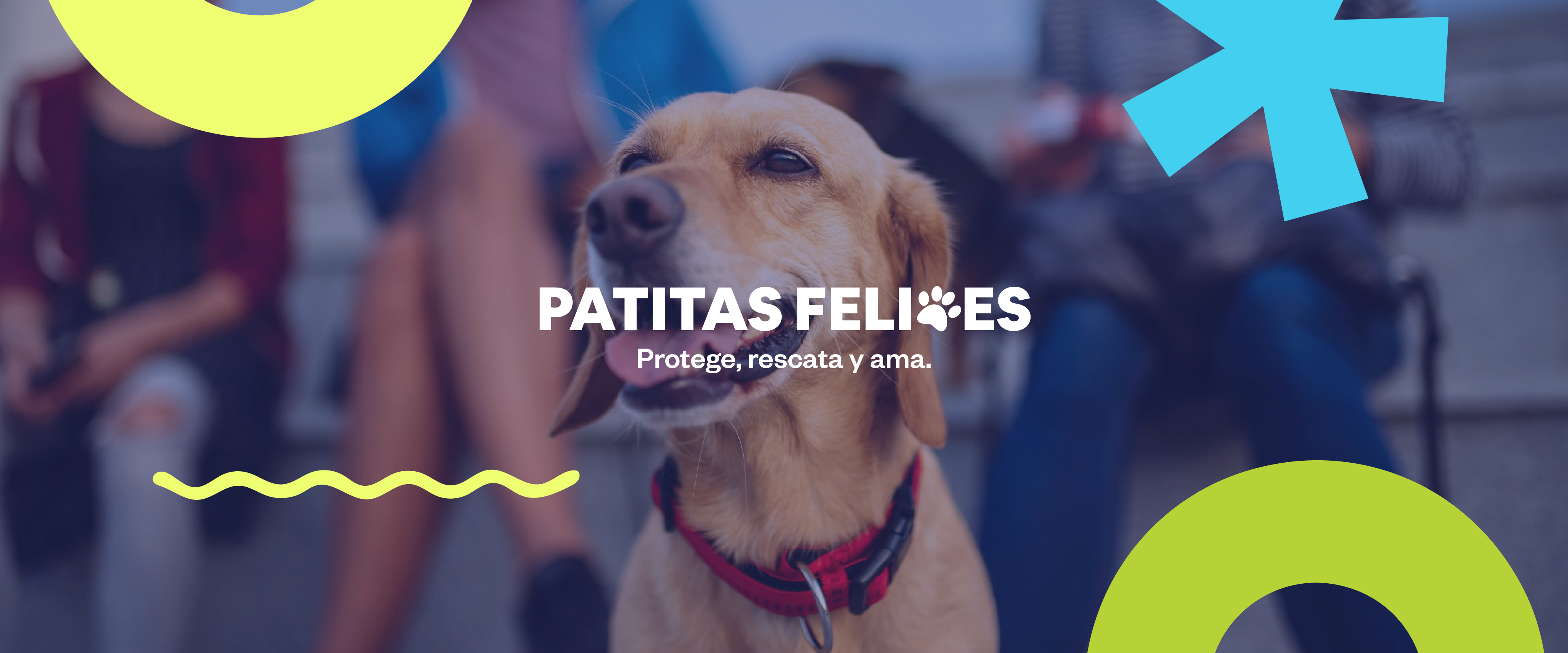 Patitas Felices - Cuidado de mascotas